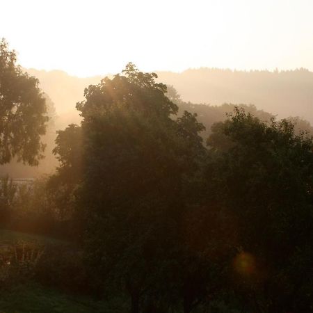 Eifel Rebeige Gerolstein Apartment Kopp Екстериор снимка