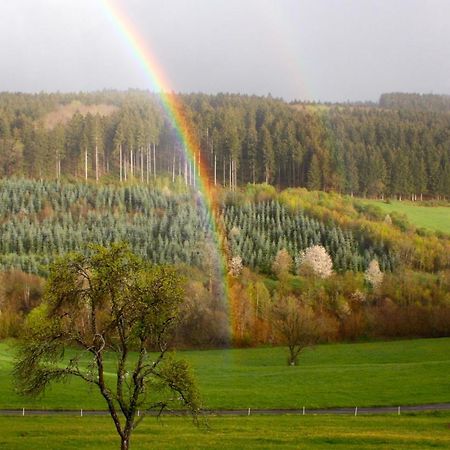 Eifel Rebeige Gerolstein Apartment Kopp Екстериор снимка