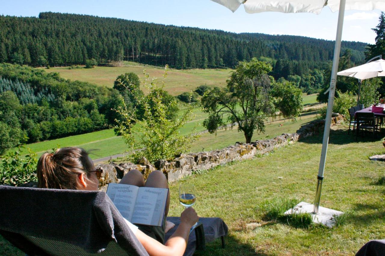 Eifel Rebeige Gerolstein Apartment Kopp Екстериор снимка