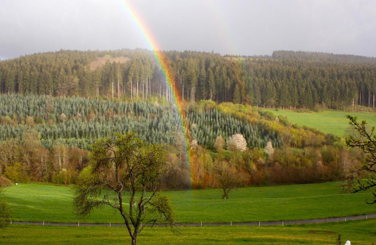 Eifel Rebeige Gerolstein Apartment Kopp Екстериор снимка